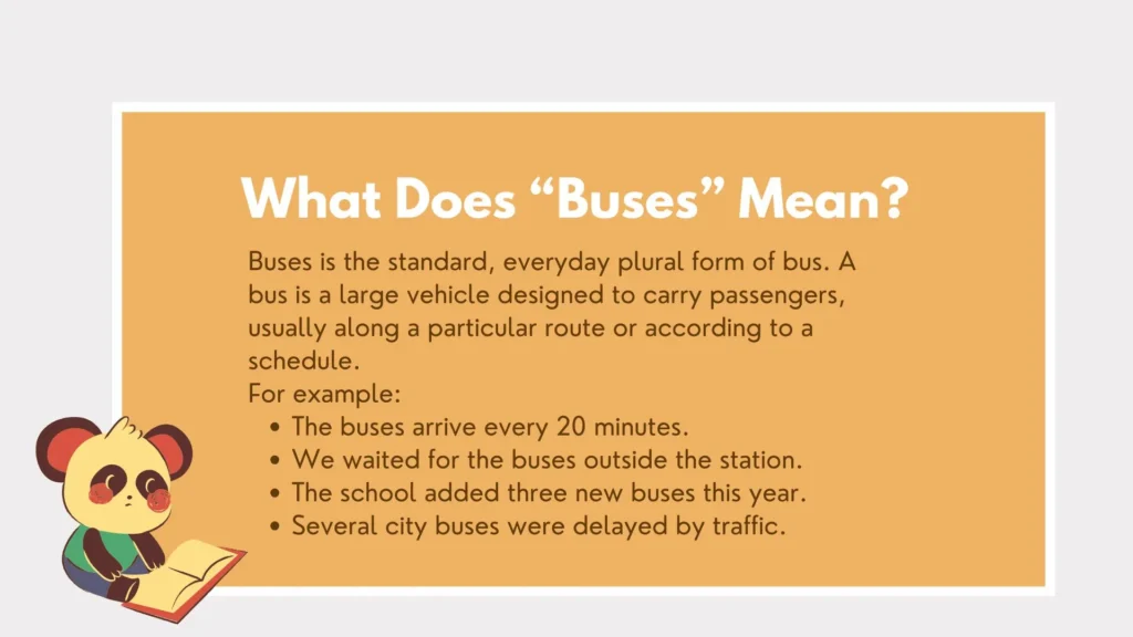 buses or busses