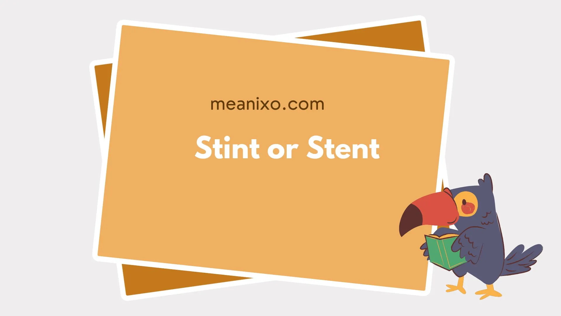 stint or stent