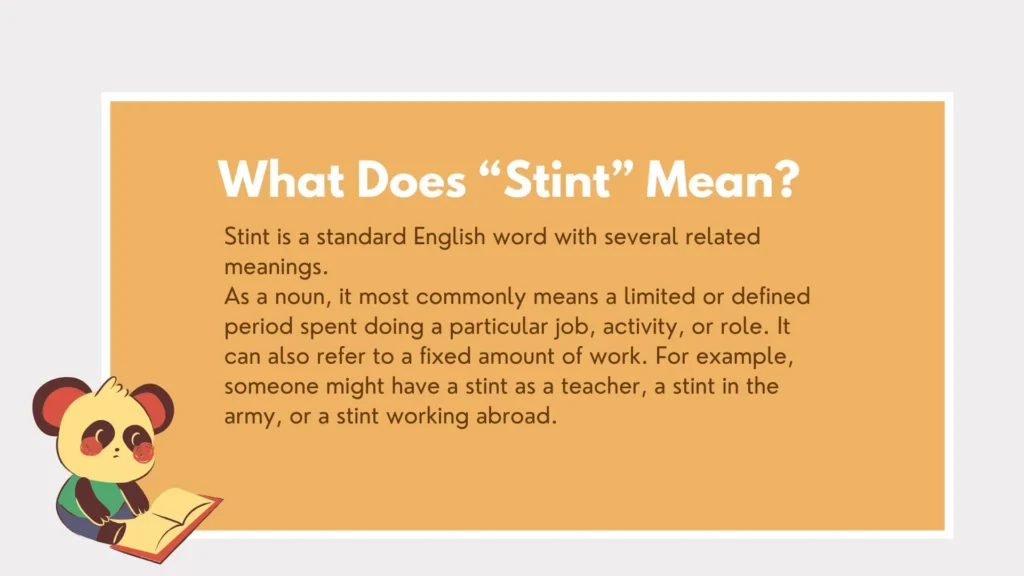 stint or stent